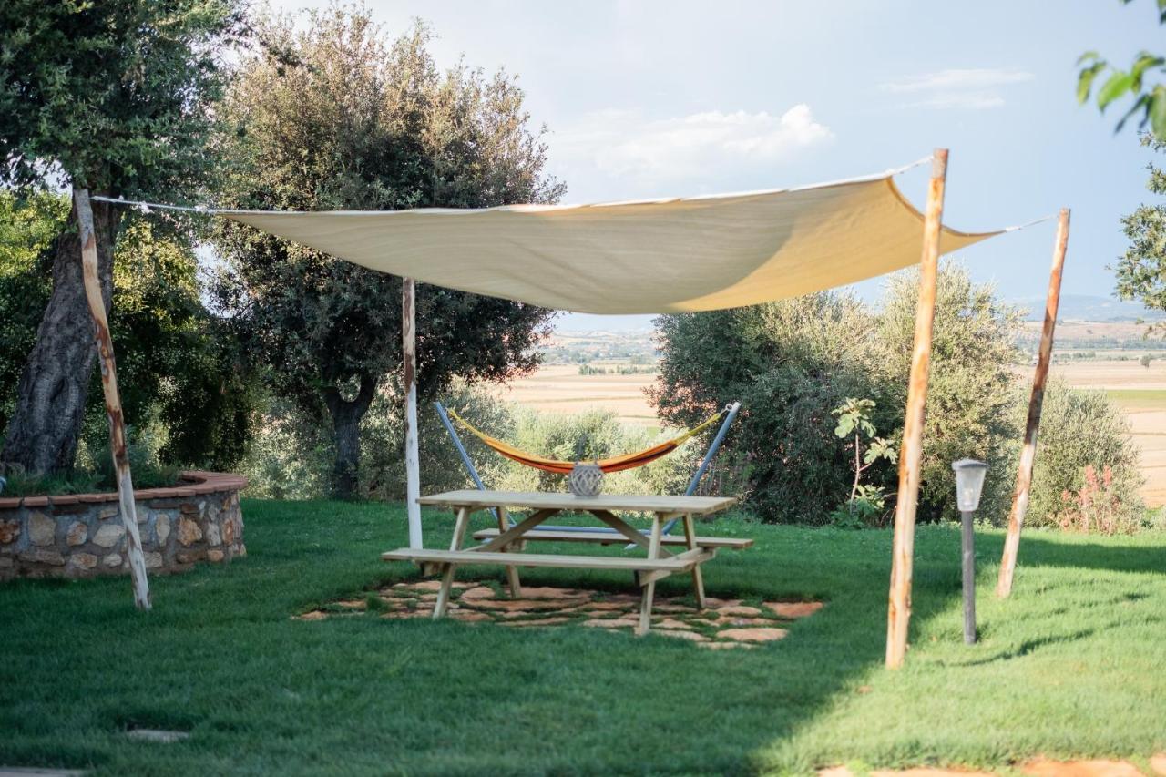 Agriturismo I Grappoli 알베레세 외부 사진