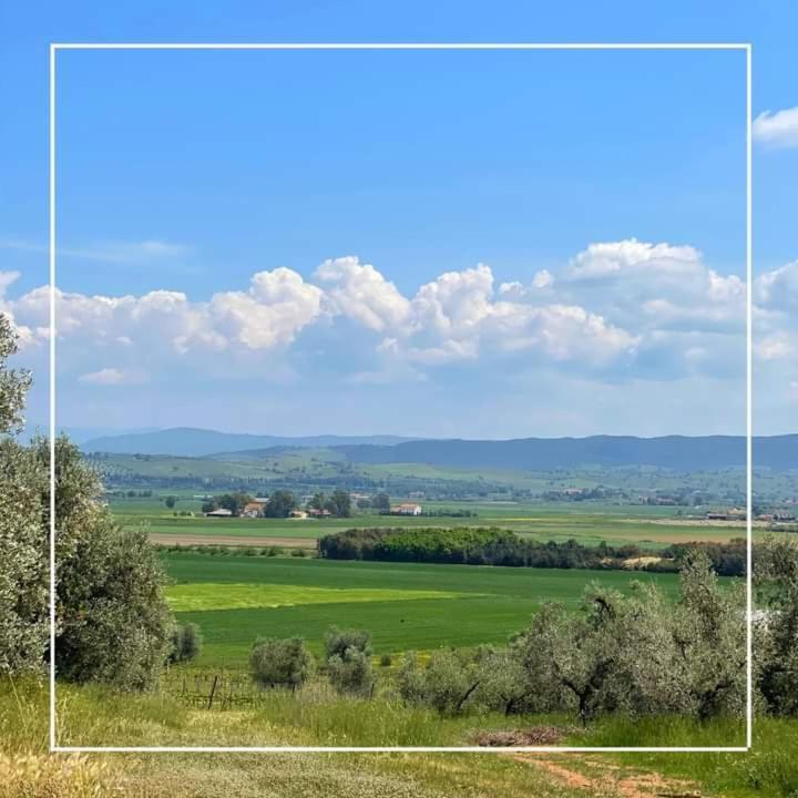 Agriturismo I Grappoli 알베레세 외부 사진